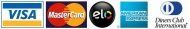 Payment Logo